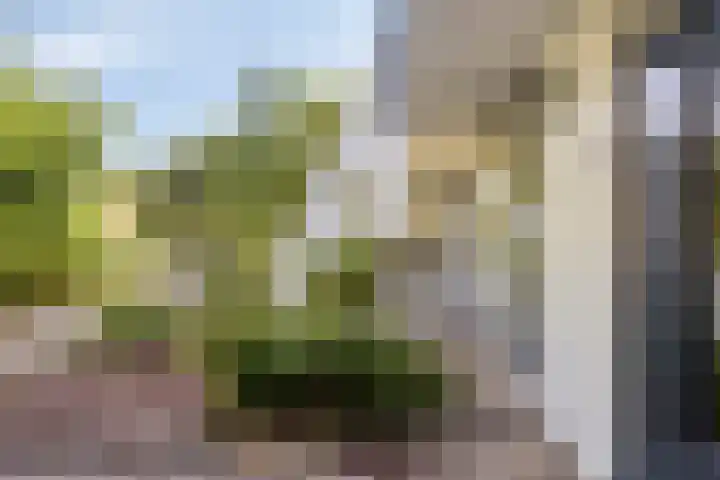 Meijhorst 9104 Nijmegen thumbnail 45