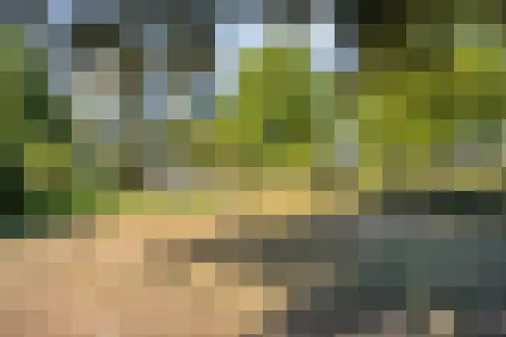 Meijhorst 9104 Nijmegen thumbnail 51