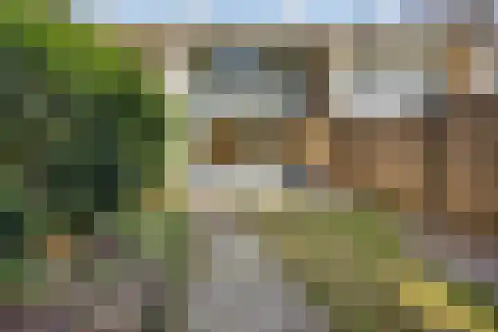 Meijhorst 9104 Nijmegen thumbnail 9