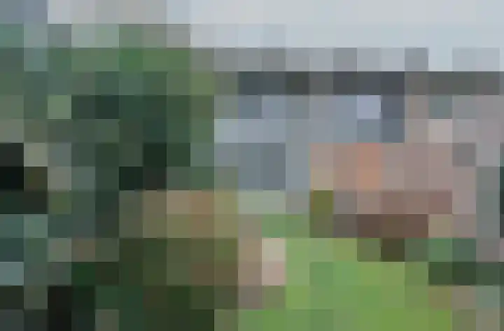 Meijhorst 9130 Nijmegen thumbnail 13