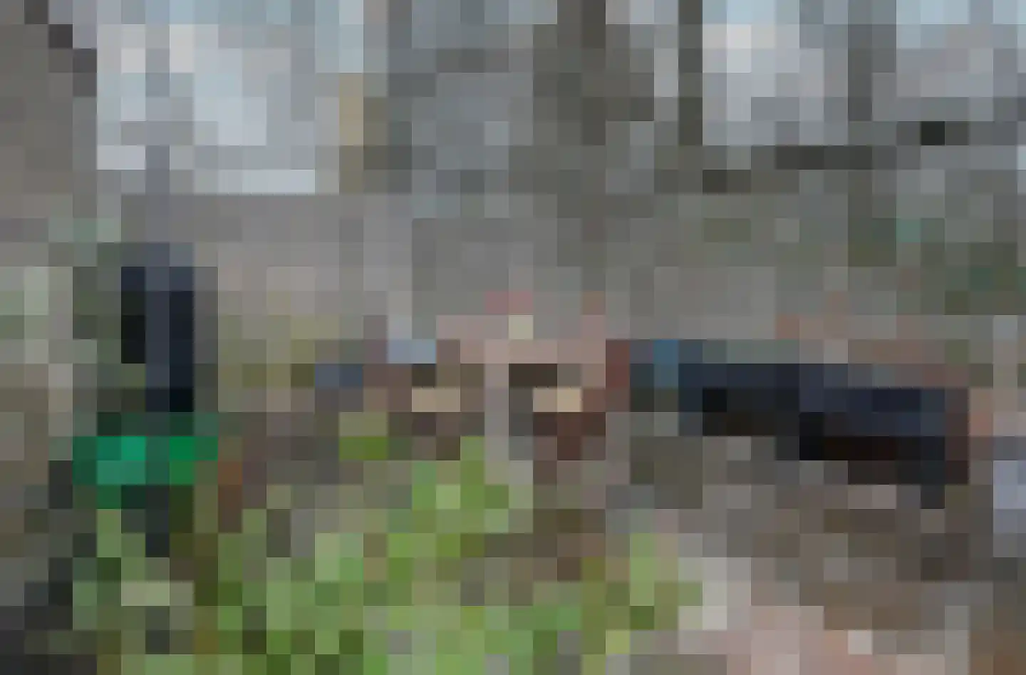 Meijhorst 9201 Nijmegen thumbnail 29