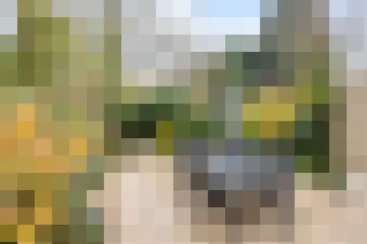 Meijhorst 9203 Nijmegen thumbnail 35