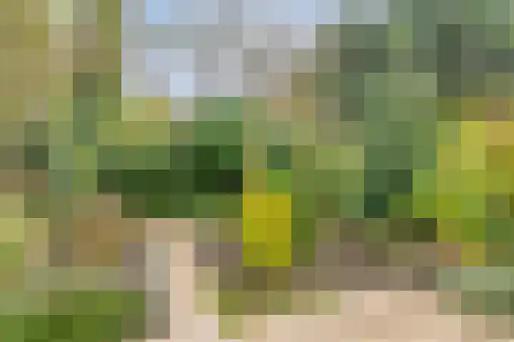 Meijhorst 9203 Nijmegen thumbnail 36