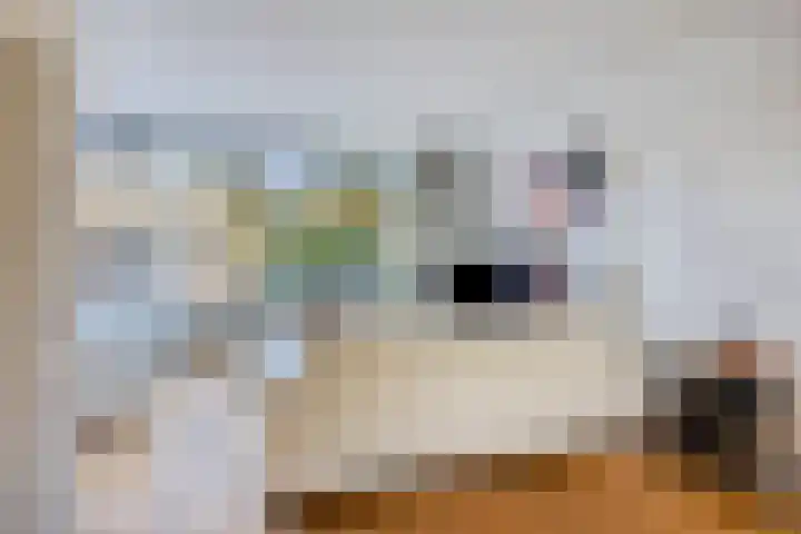 Meijhorst 9203 Nijmegen thumbnail 4