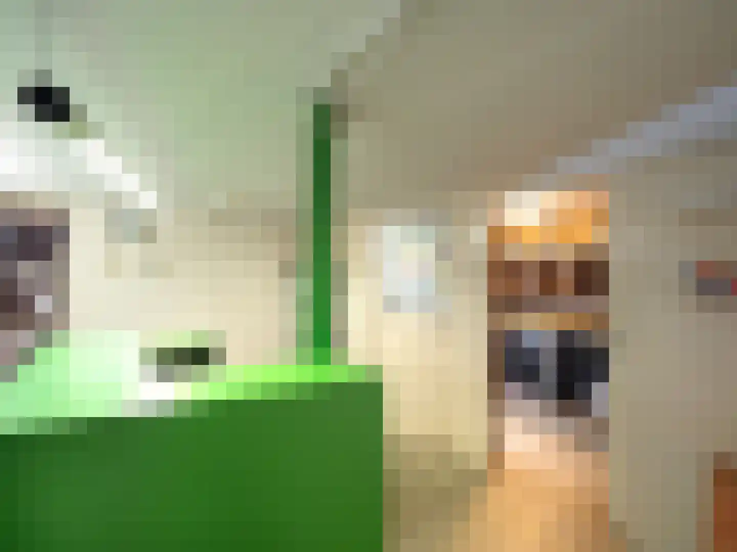 Meijhorst 9266 Nijmegen thumbnail 16