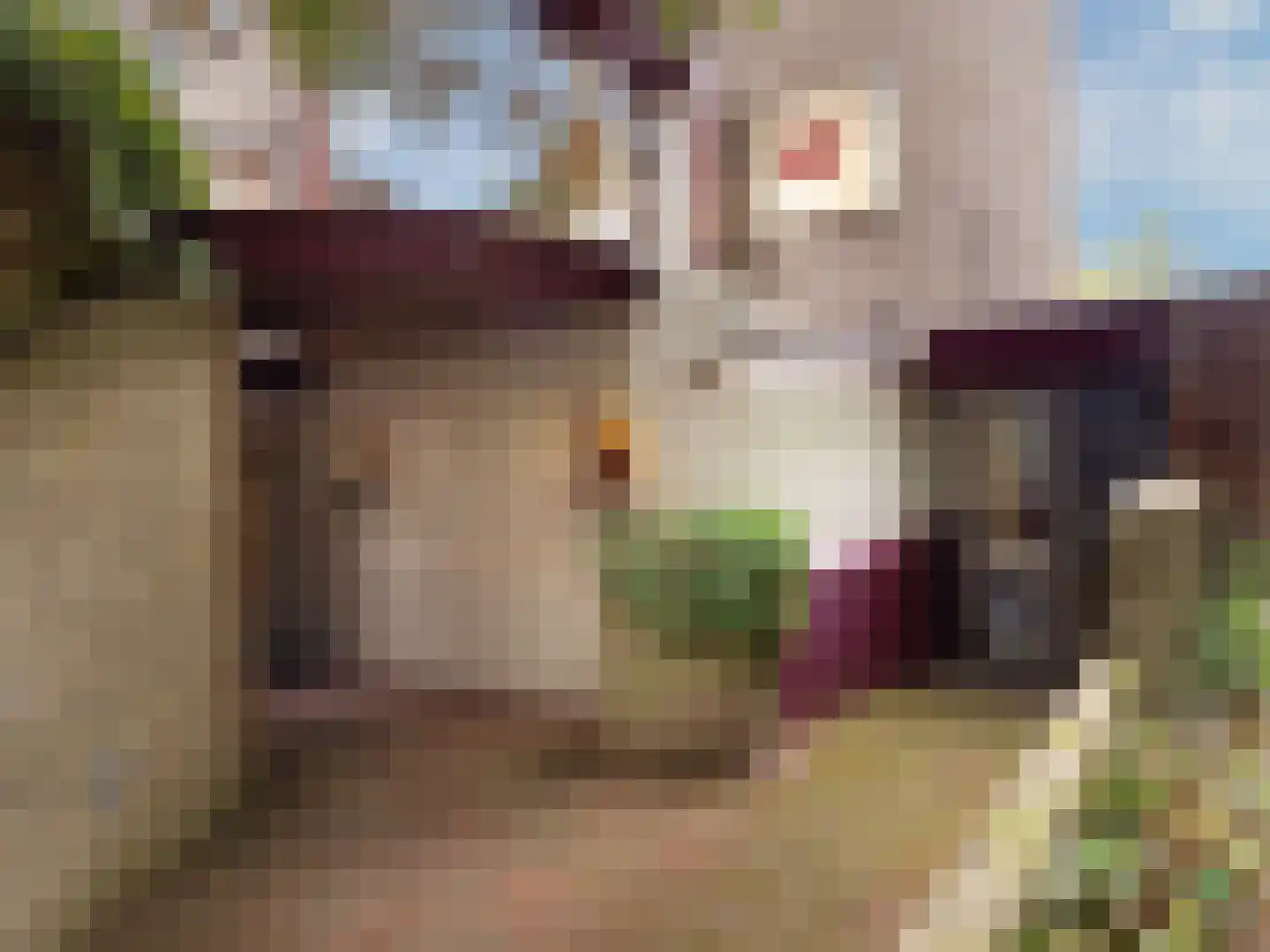 Meijhorst 9266 Nijmegen thumbnail 30