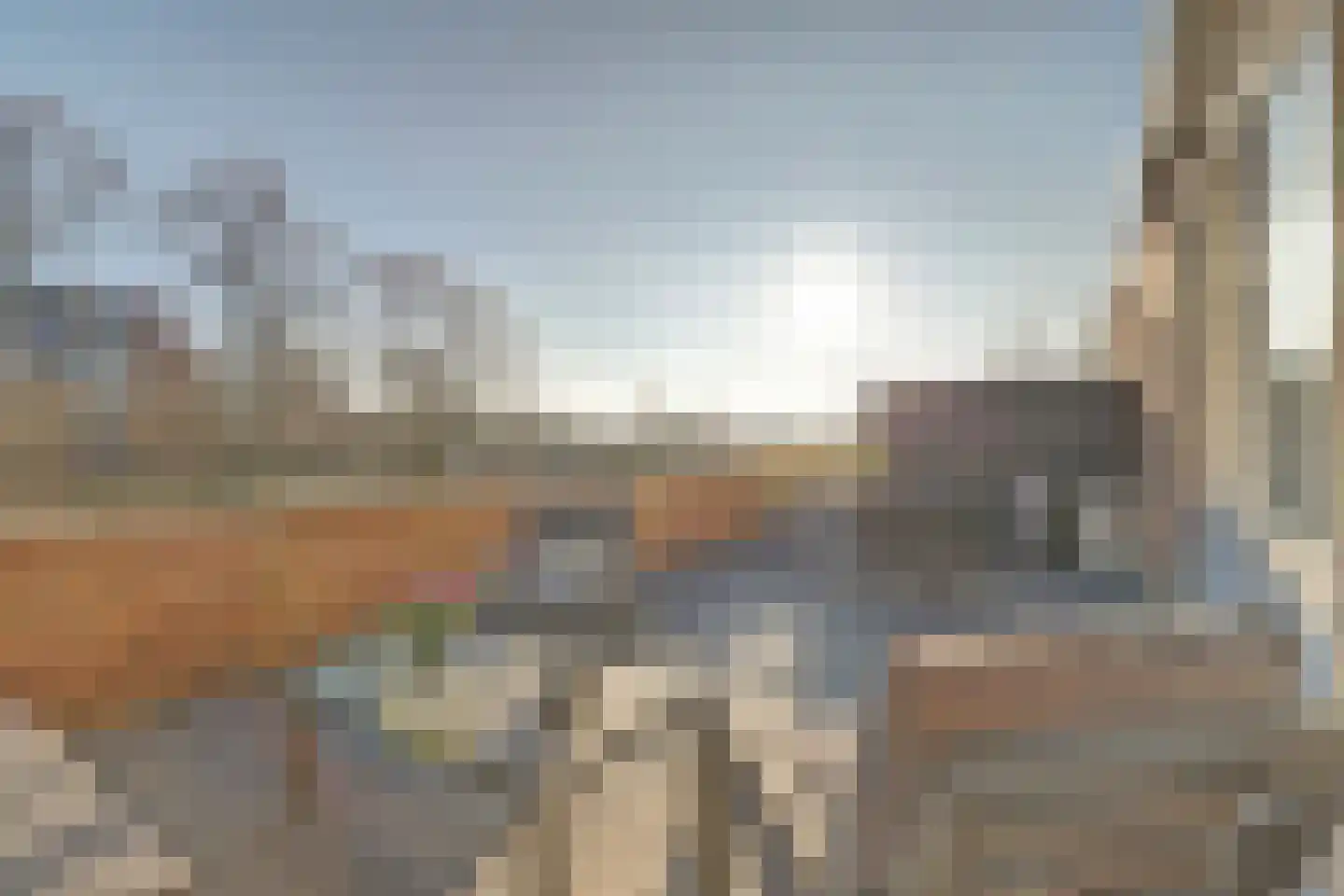 Meijhorst 9305 Nijmegen thumbnail 28