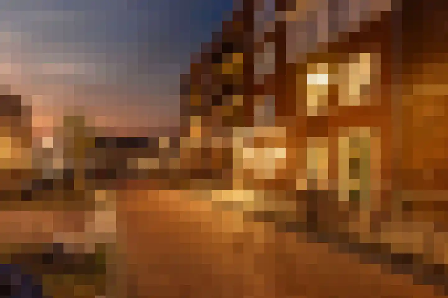 Meijlingplein 5 Hengelo thumbnail 40