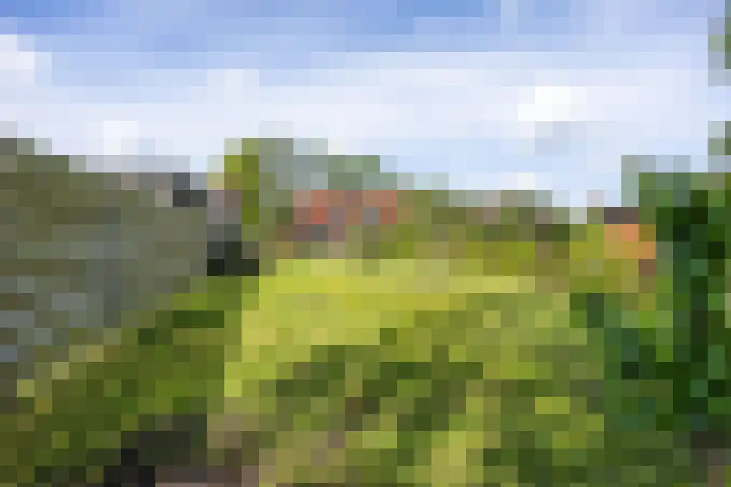 Meijmaweg 18 Rasquert thumbnail 24