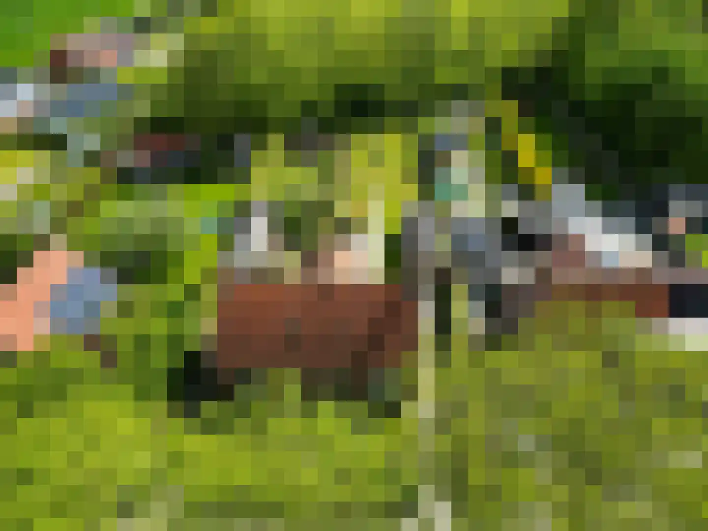 Meijmaweg 18 Rasquert thumbnail 5