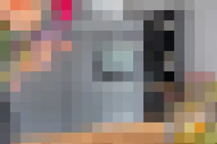 Meijsberg 7 Chaam thumbnail 15