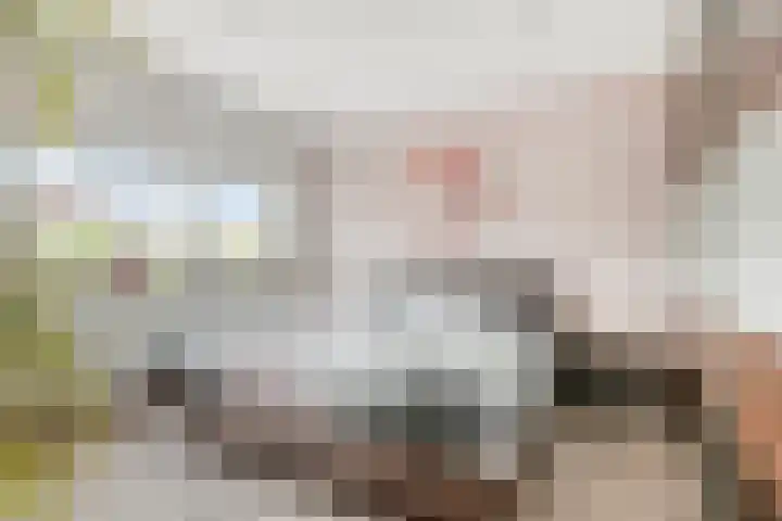 Meijsberg 7 Chaam thumbnail 16
