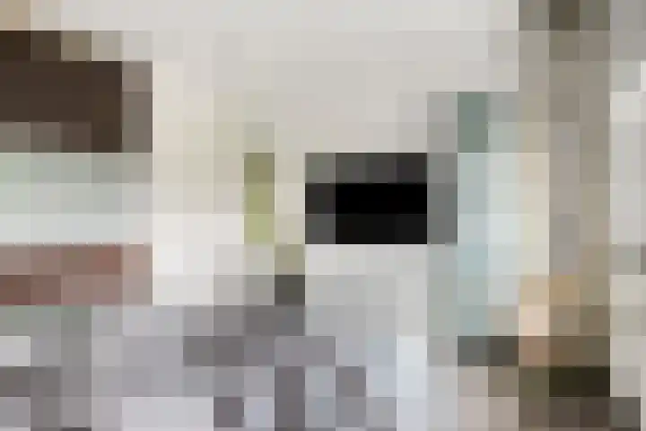 Meijsberg 7 Chaam thumbnail 17