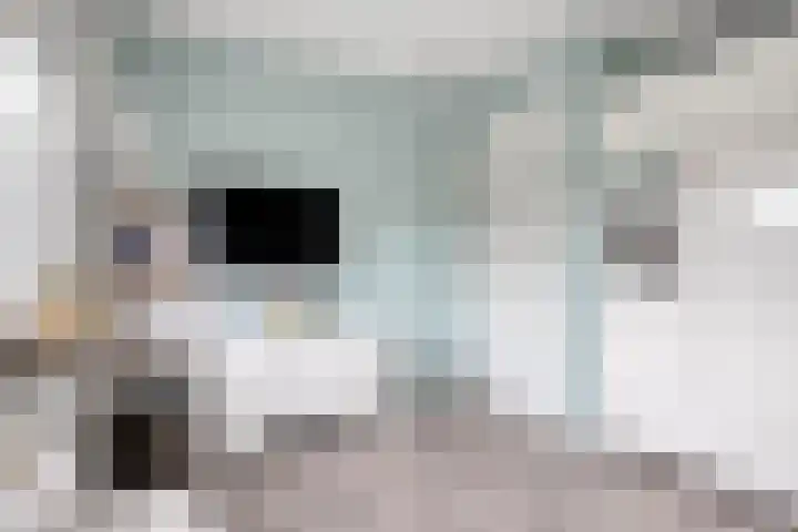 Meijsberg 7 Chaam thumbnail 19