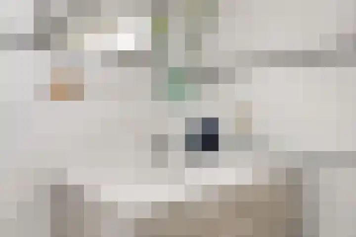 Meijsberg 7 Chaam thumbnail 23