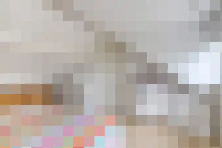 Meijsberg 7 Chaam thumbnail 29