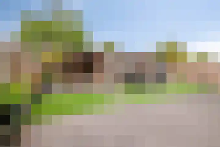 Meijsberg 7 Chaam thumbnail 30