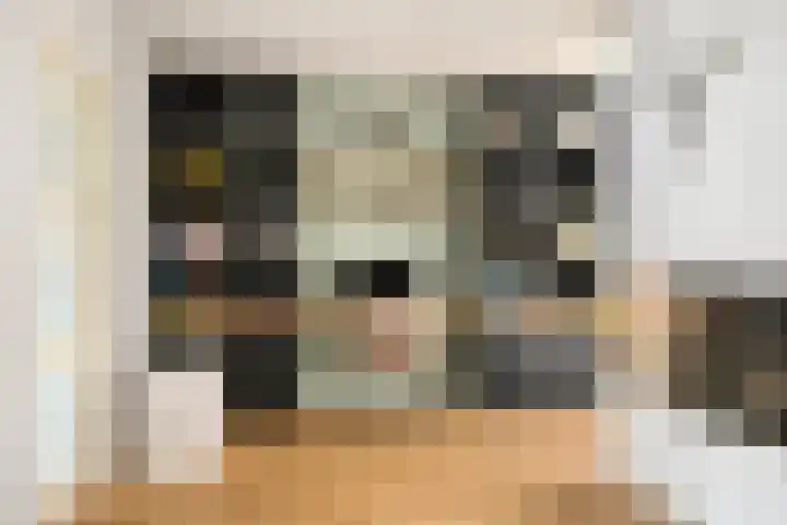 Meijsberg 7 Chaam thumbnail 9