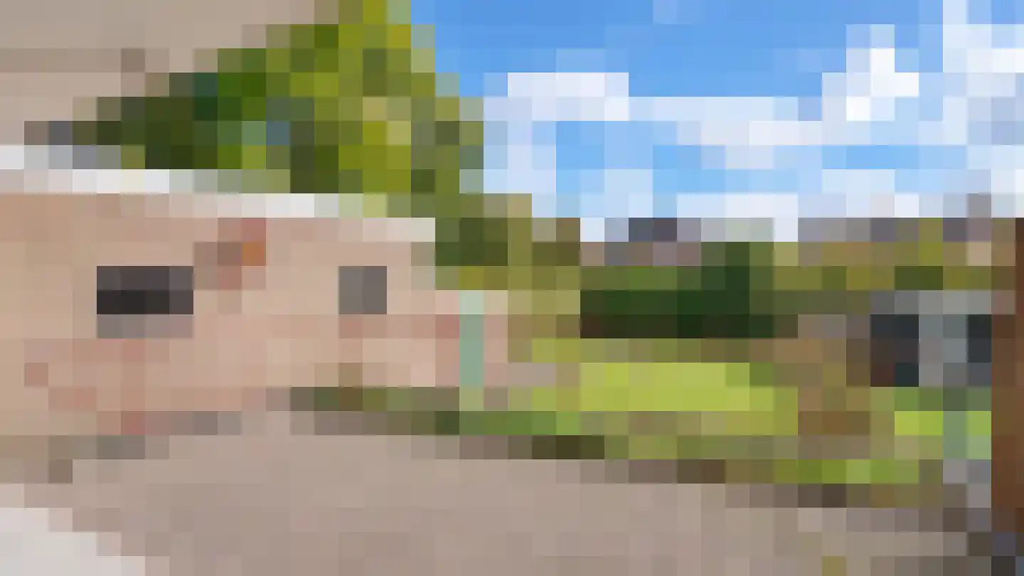 Meijsstraat 10 Geleen thumbnail 31