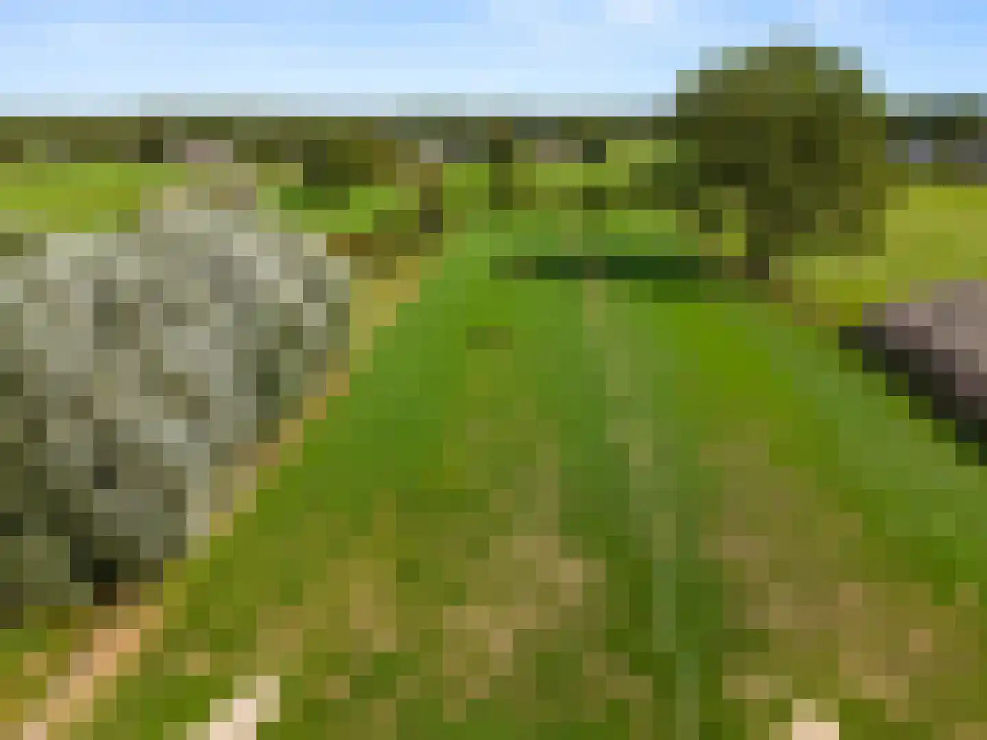 Meikade 24 B Ede thumbnail 50