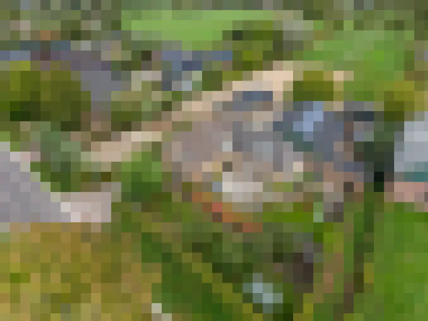 Meikade 24 B Ede thumbnail 63