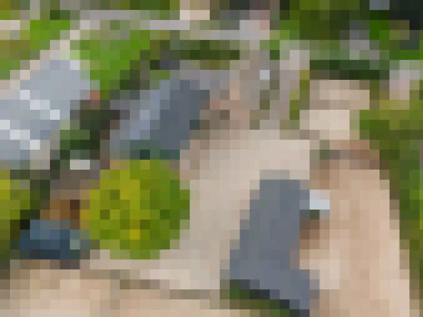 Meikade 24 B Ede thumbnail 68