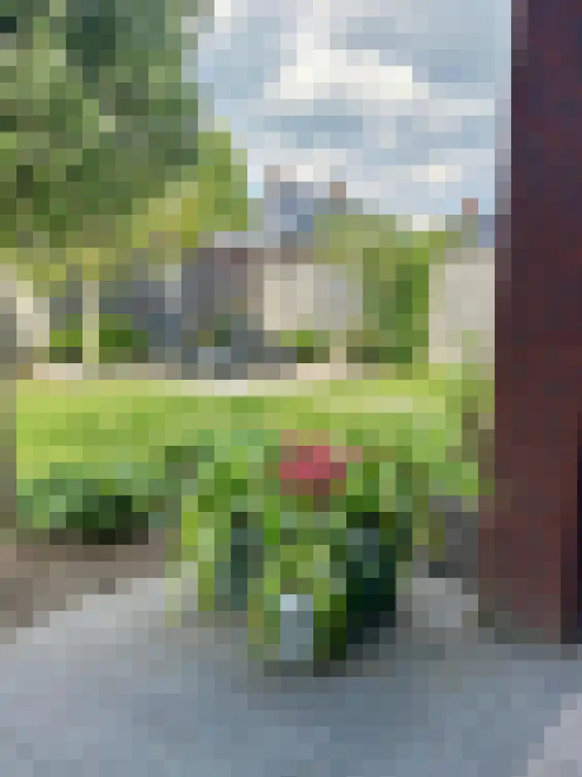 Meikers 13 Borne thumbnail 15