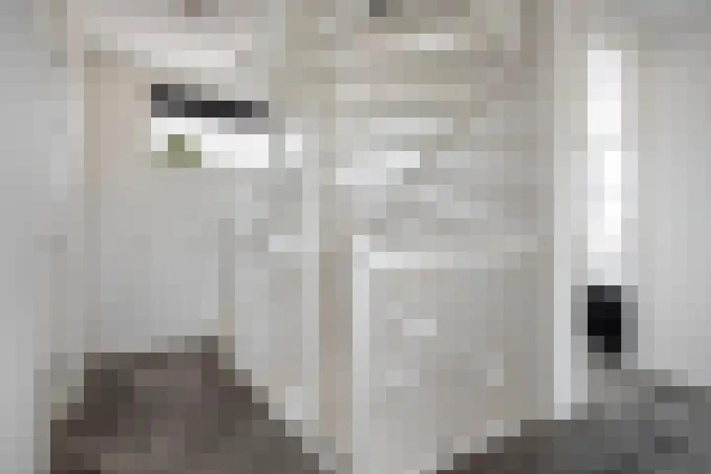 Meikers 13 Borne thumbnail 21