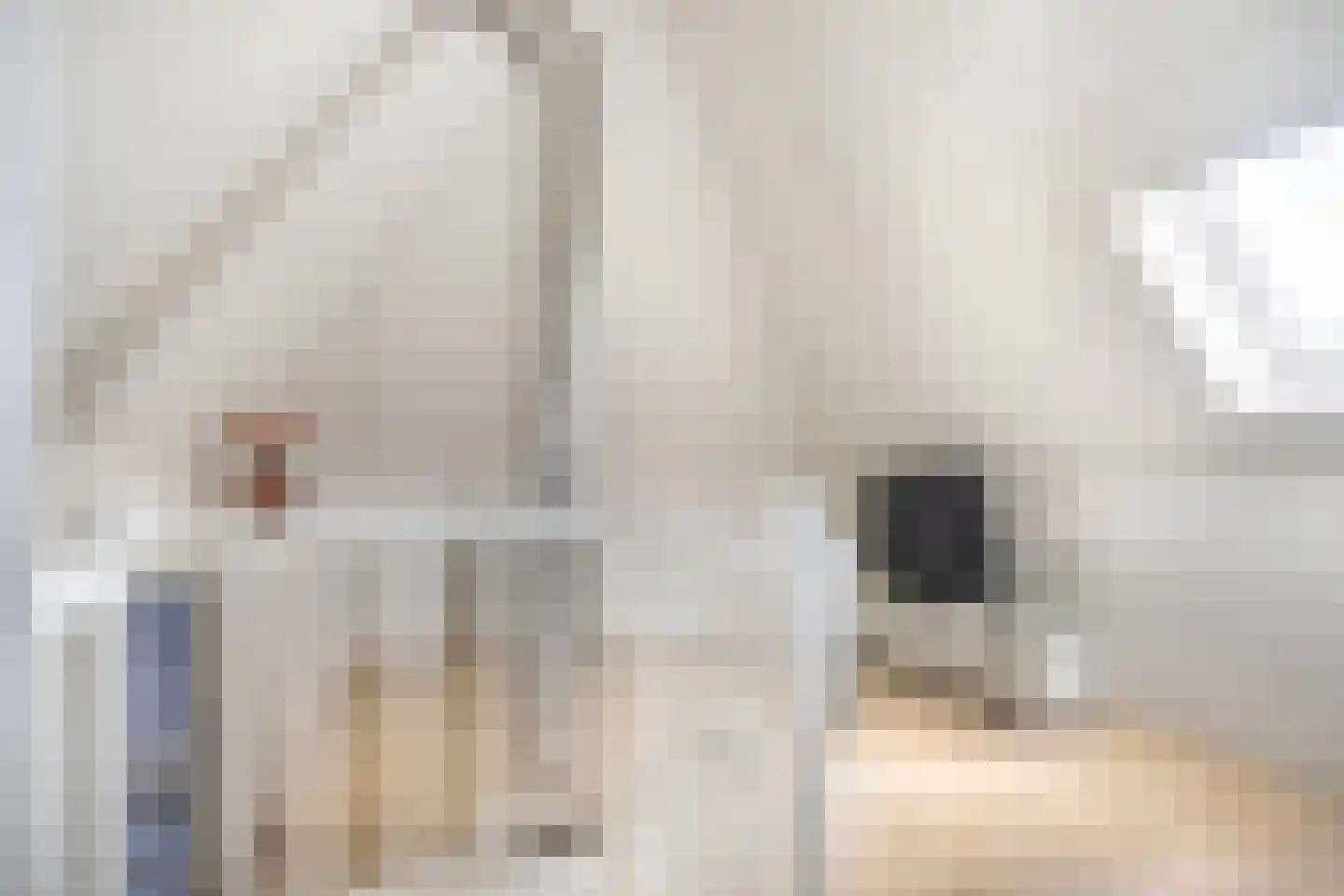 Meikers 13 Borne thumbnail 30