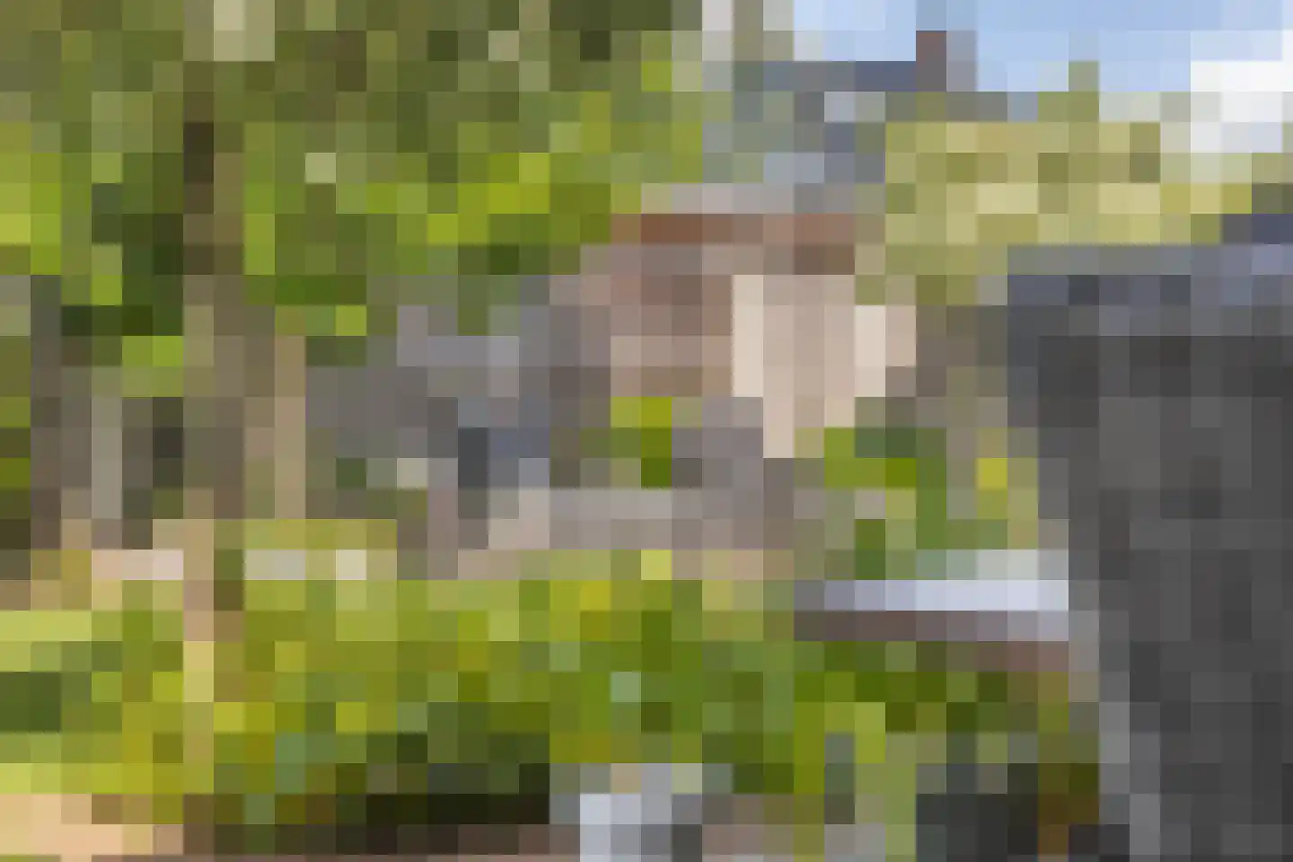 Meikers 13 Borne thumbnail 39