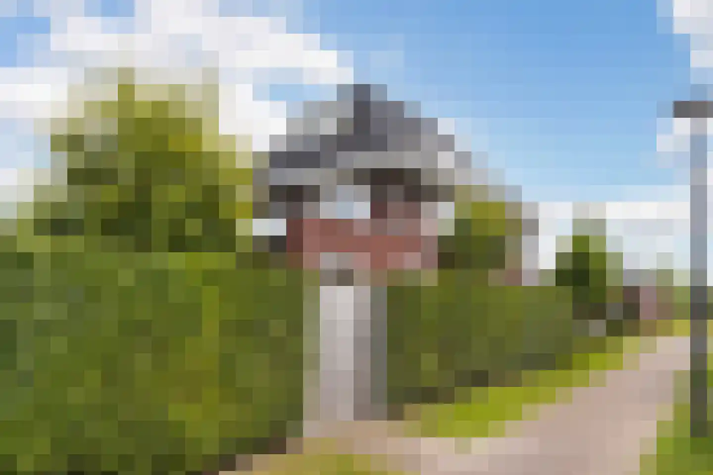 Meikers 13 Borne thumbnail 44