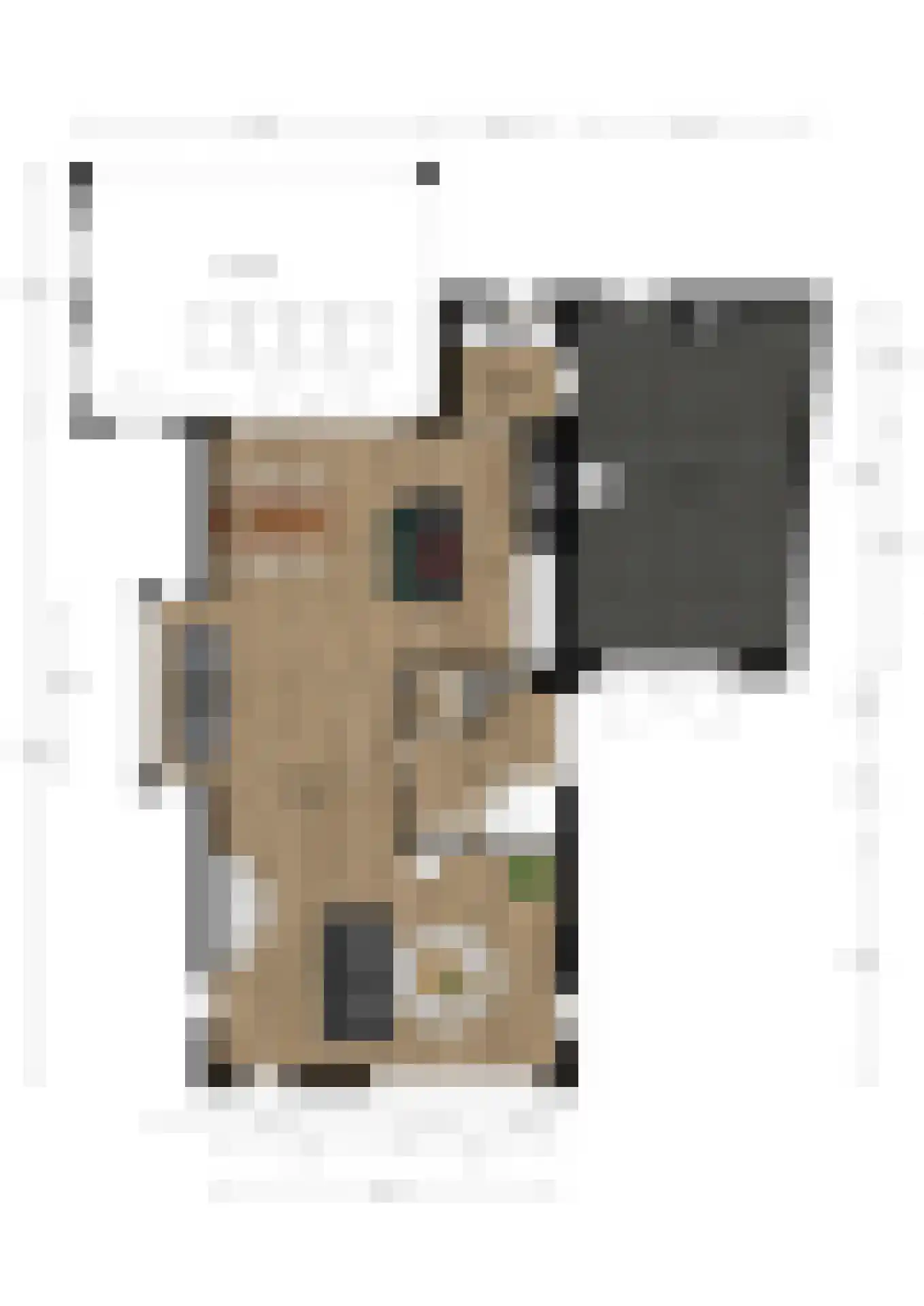Meikers 13 Borne thumbnail 52