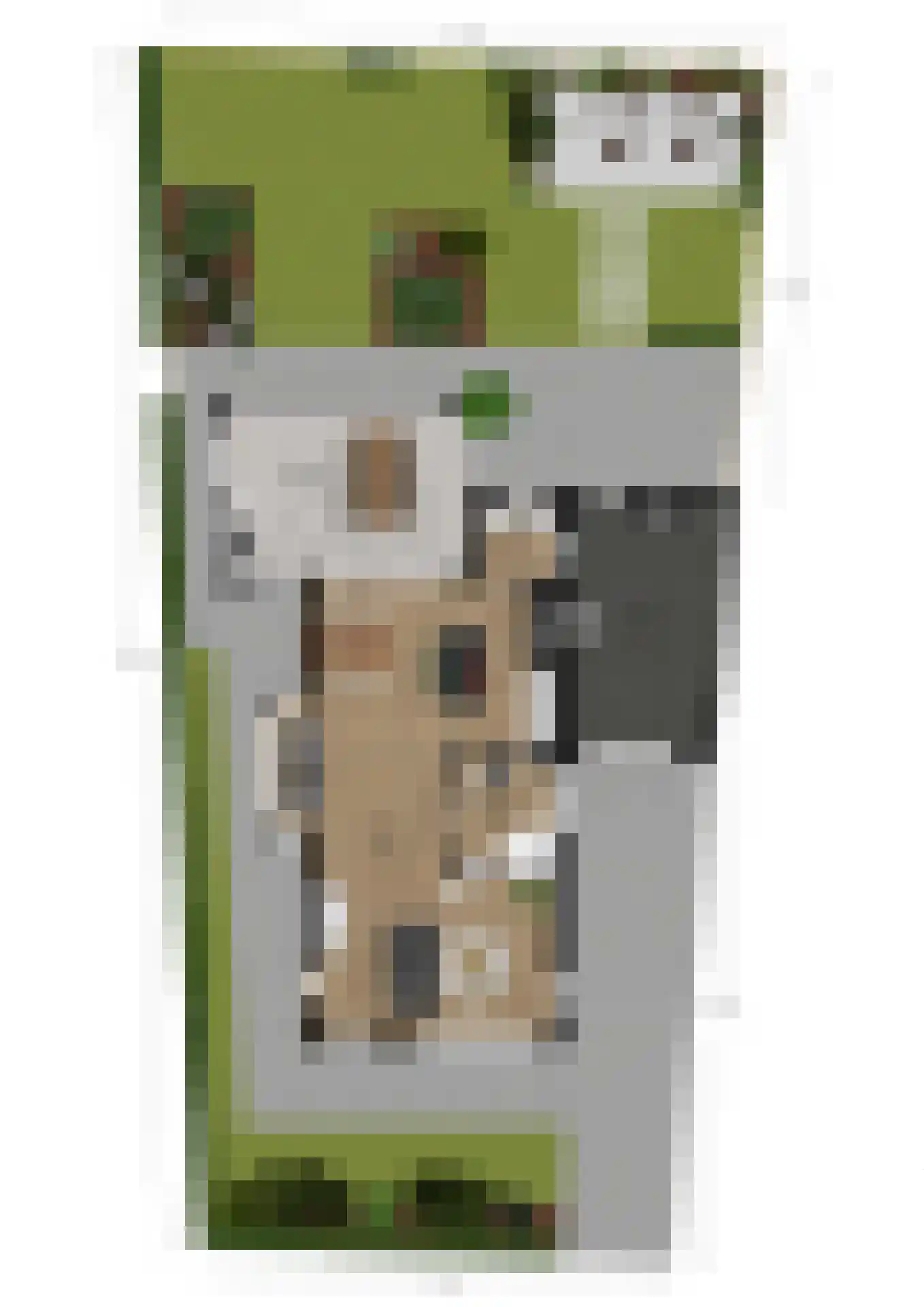 Meikers 13 Borne thumbnail 55