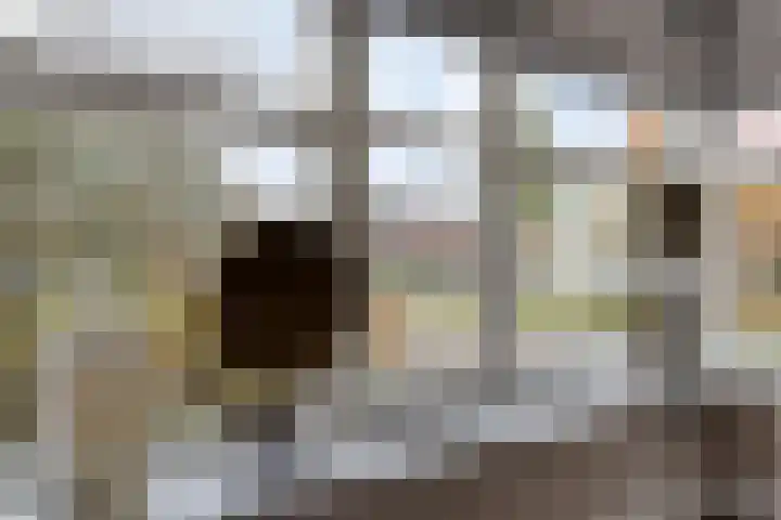 Meikers 15 Borne thumbnail 13