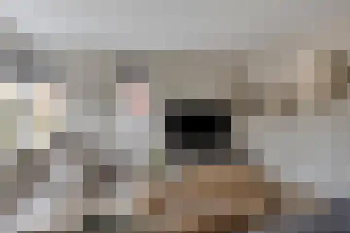 Meikers 15 Borne thumbnail 14