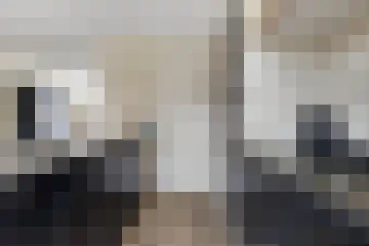 Meikers 15 Borne thumbnail 19