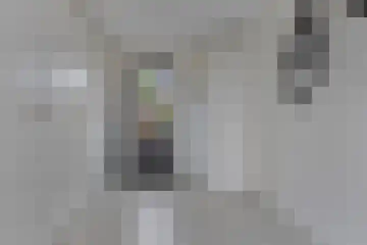 Meikers 15 Borne thumbnail 22