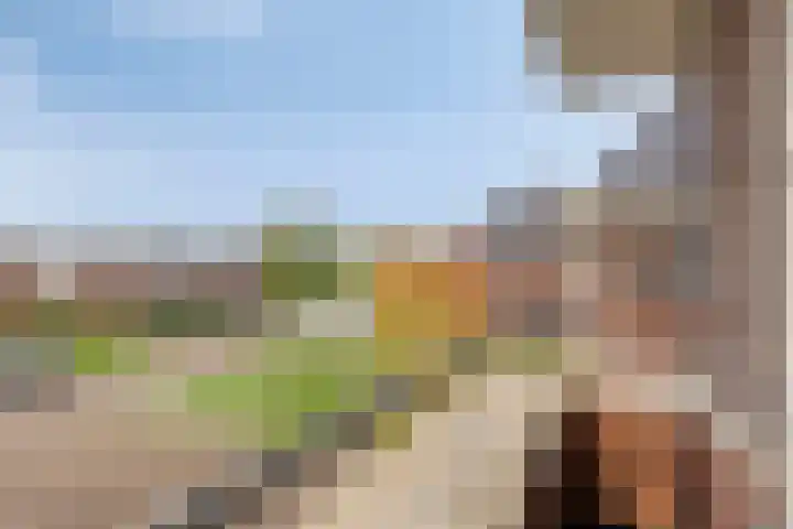 Meikers 15 Borne thumbnail 37