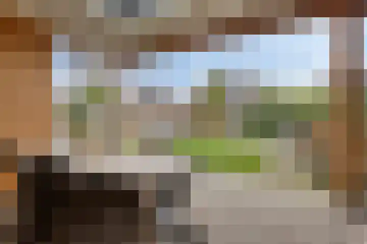 Meikers 15 Borne thumbnail 43