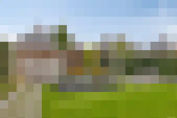 Meikers 15 Borne thumbnail 45