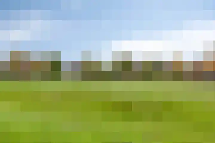 Meikers 15 Borne thumbnail 47
