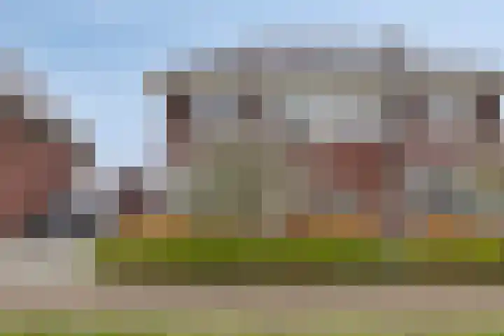 Meikers 15 Borne thumbnail 5