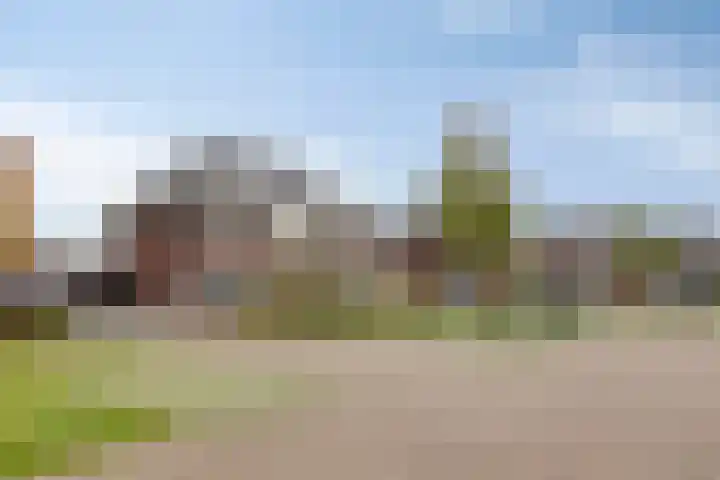 Meikers 15 Borne thumbnail 50
