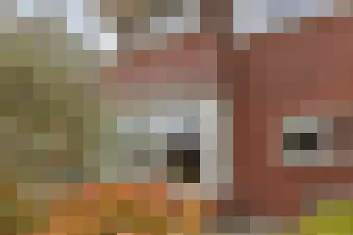 Meikers 15 Borne thumbnail 52
