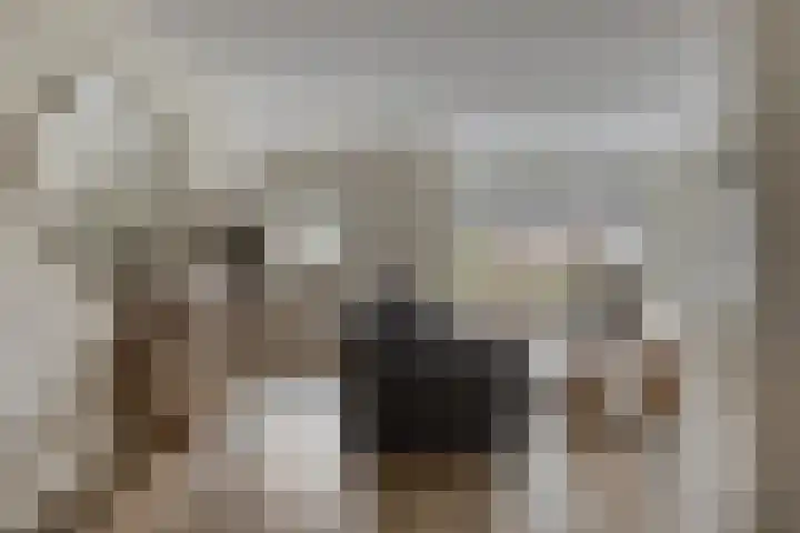 Meikers 15 Borne thumbnail 8