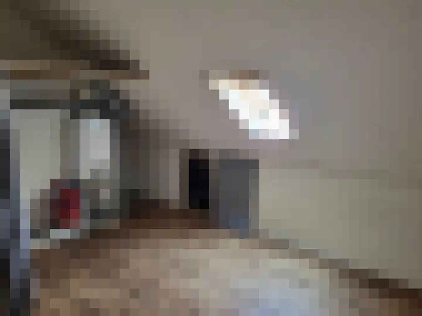 Meikers 19 Andijk thumbnail 15