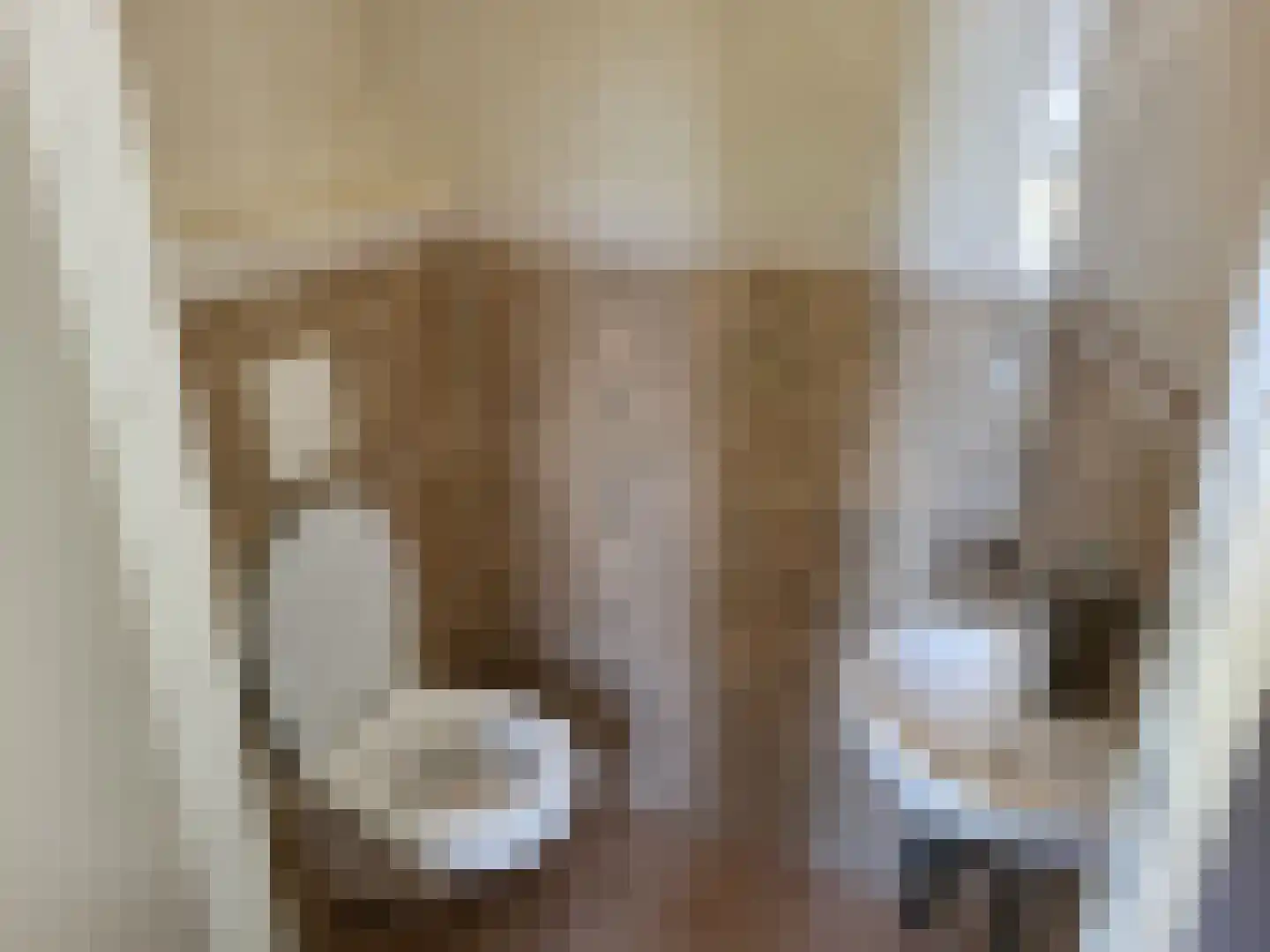Meikers 19 Andijk thumbnail 6