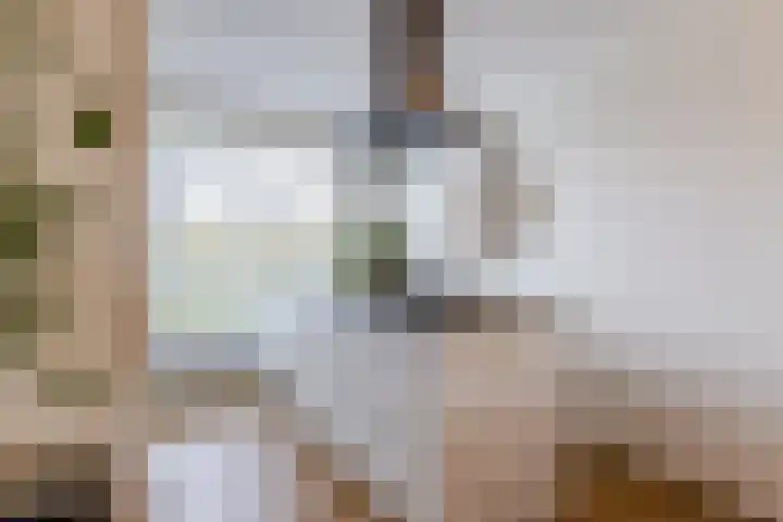 Meikers 20 Berkel-Enschot thumbnail 15