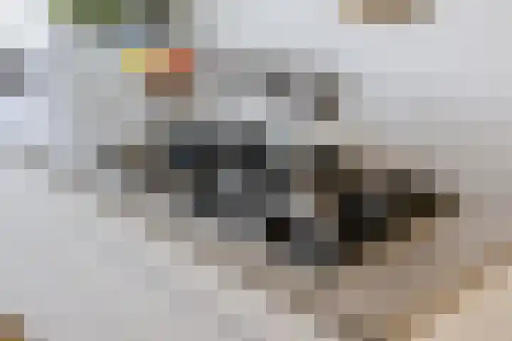 Meikers 20 Berkel-Enschot thumbnail 16