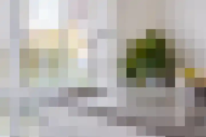 Meikers 20 Berkel-Enschot thumbnail 18